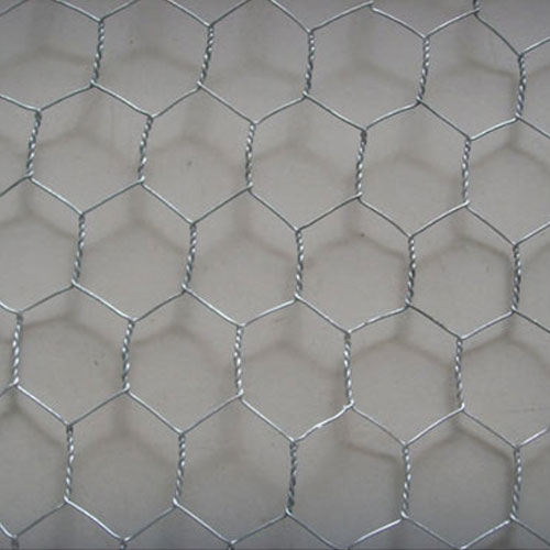 Hexagonal Wire Netting - Galvanized Drawn Iron Wire